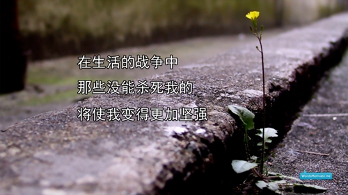 一老头一老太情侣头像5