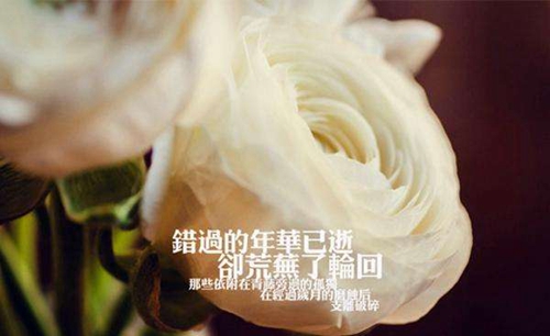 抖音头像是擦玻璃戴口罩的外国人3