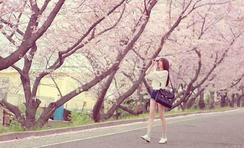 <font color=#ff0000>稻草人(汪蕊)-中文CLUB[TK]