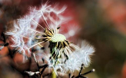 良少·麦莎慢摇曲 DJ铃声