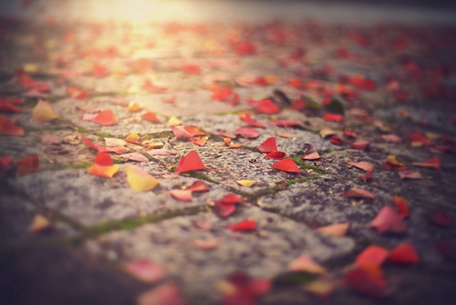 C01越鼓为求汉斯EH%B_11-2 MB