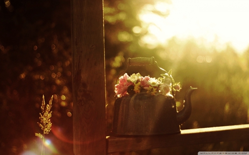 我想要一个好老公nbsp;nbsp;网络 单曲 网络单曲 铃声