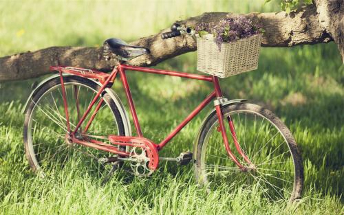 百事可乐 DA DA DA 广告铃声 铃声