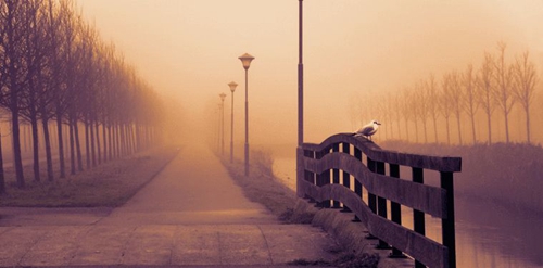 每次都想呼喊你的名字-大哥 搞笑 铃声