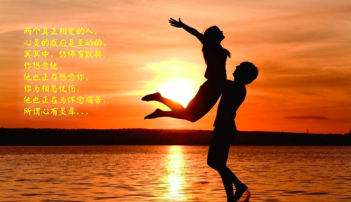 dj丹丹祝你幸福，dj丹丹单曲祝你幸福