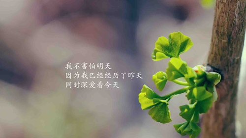带婷字的抖音网名