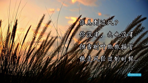 带有杨字男生唯美网名
