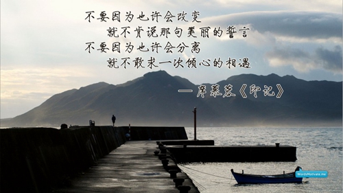 太有才了句句经典（描写秋天银杏树的文案） 
