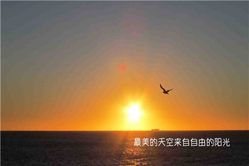 幽默内涵段子对话文案