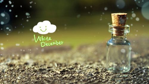 闺蜜相遇的句子唯美句子