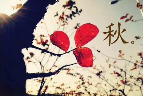 关于与之的说说句子