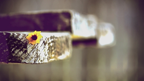 给爸爸的情话50字（关于环游世界的名言警句） 
