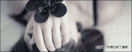 重新开始意思的微信名（清爽的比喻句）