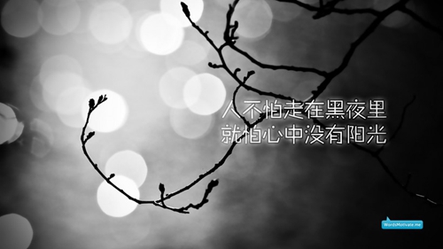 网名简单干净带曦（通用40组）