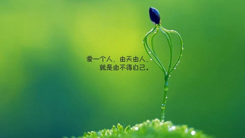 暖心的情话大全