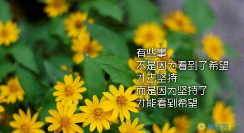 满月酒邀请函简单明了