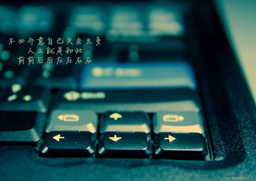 自己的说说2025