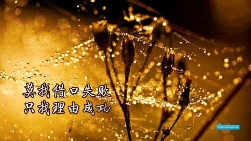 老歌不好找dj江宁