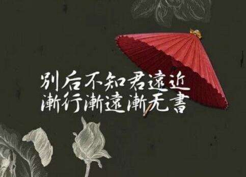 不将就的情话语录（不将就的爱情句子）