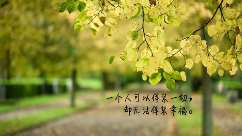 段誉的爱情（公子对女子说的古风句）