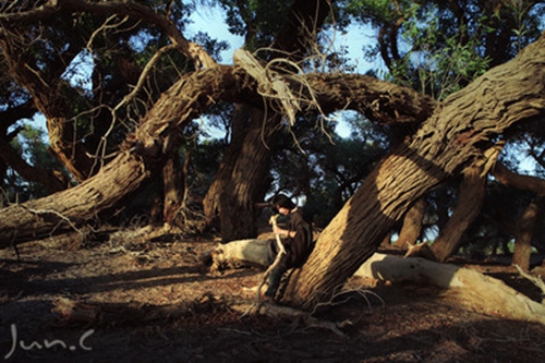 最新流行加快dj「老师生病了 - 生活习惯DJ」