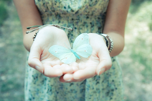 教育领域十大怪象是什么