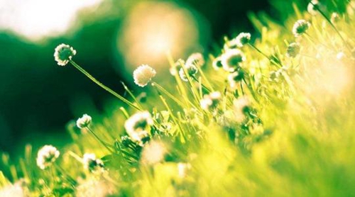 他说英文翻译 他说英文翻译