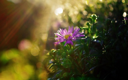 《西游记十大名言警句》推荐15句